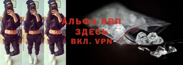 спиды Волосово