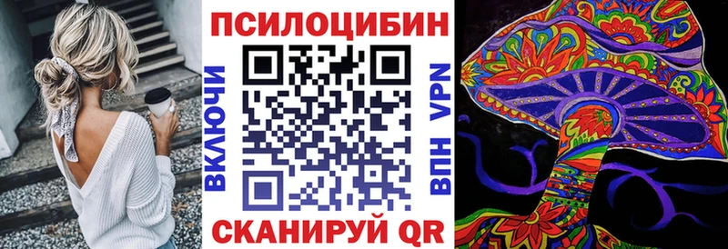 что такое   MEGA как зайти  Псилоцибиновые грибы Cubensis  Ельня 